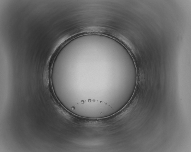 X0000112201075200908211536