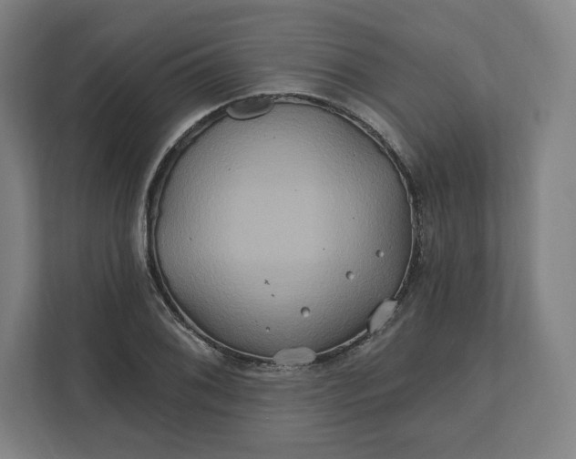 X0000112201076200908211536