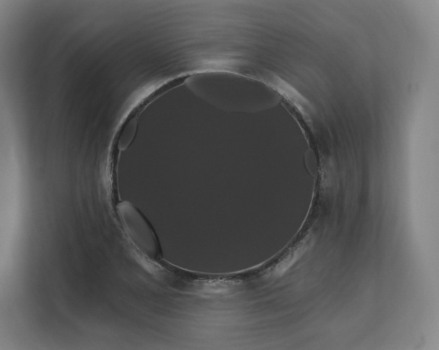 X0000112201077200908211536