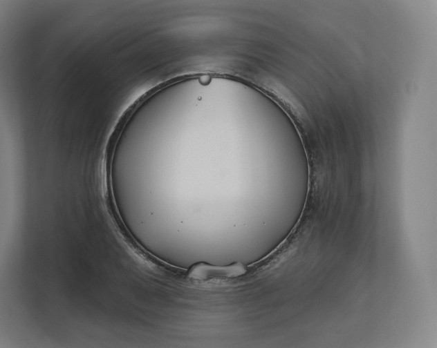 X0000112201079200908211536