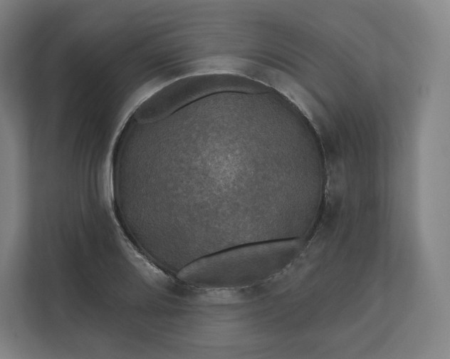 X0000112201080200908211536