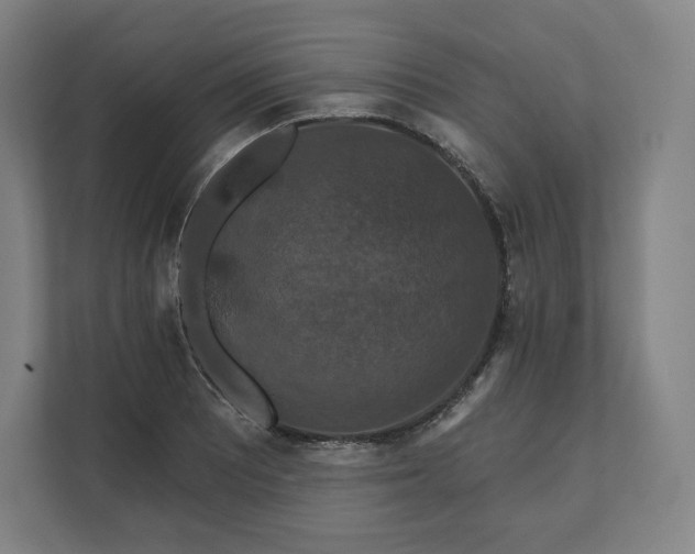 X0000112201081200908211536