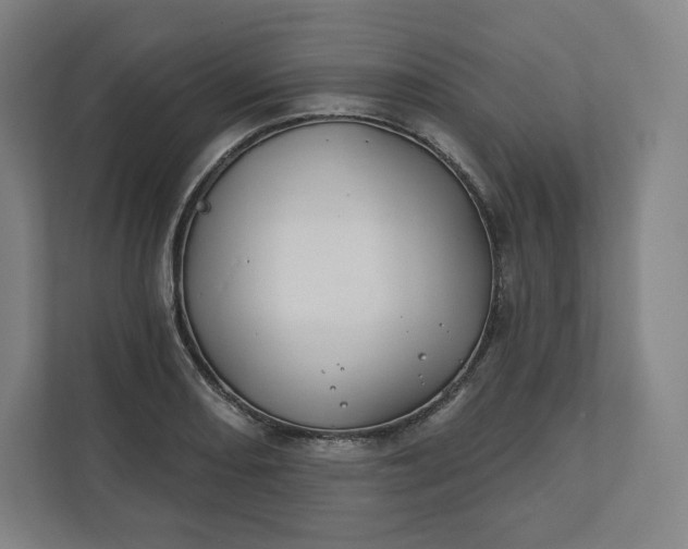 X0000112201082200908211536