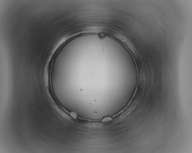 X0000112201083200908211536