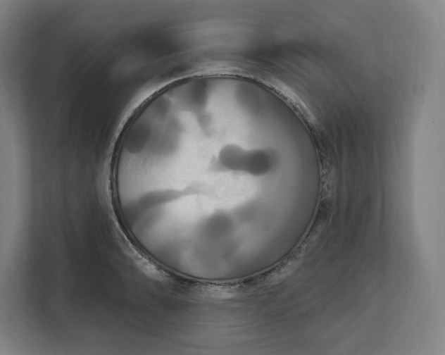 X0000112201086200908211536