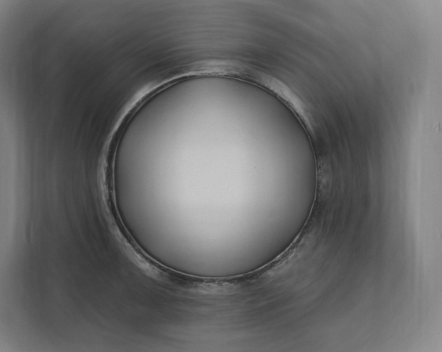 X0000112201091200908211536