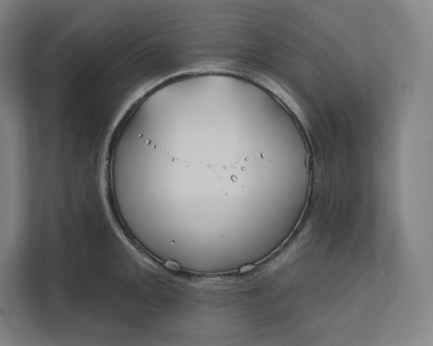 X0000112201093200908211535