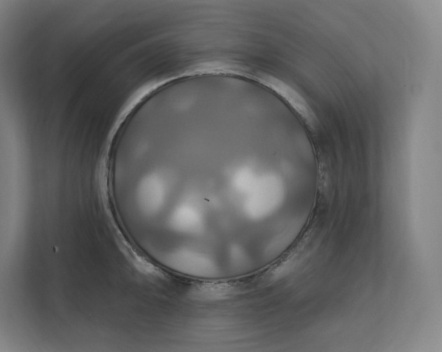 X0000112201094200908211535