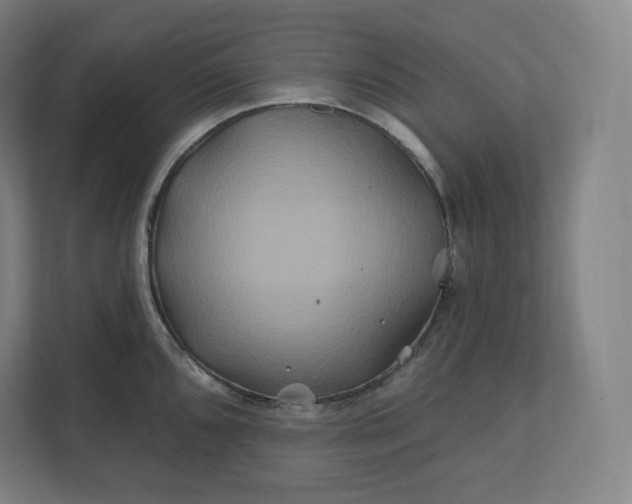 X0000112201096200908211535