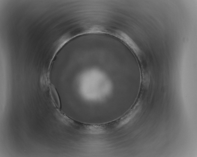 X0000112201097200908211535