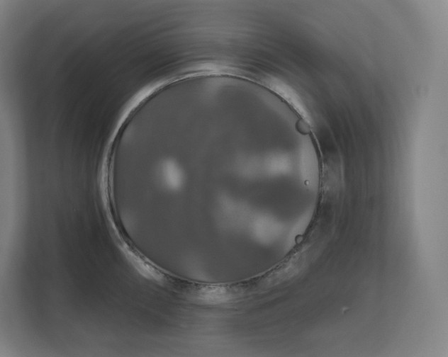 X0000112201098200908211535