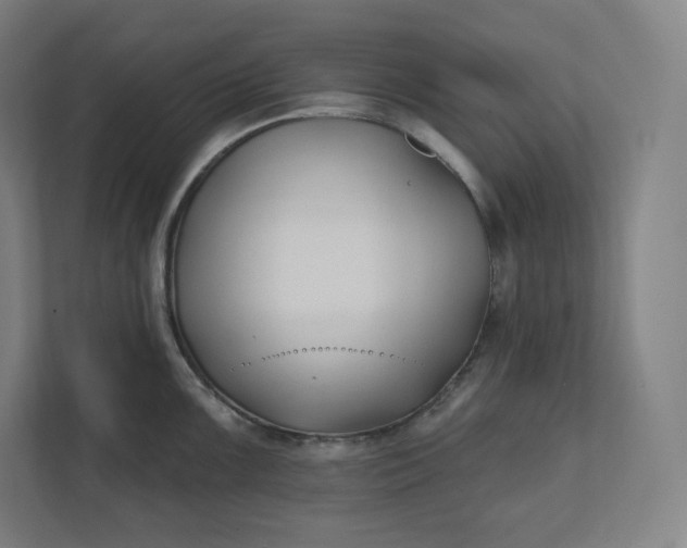 X0000112201099200908211535