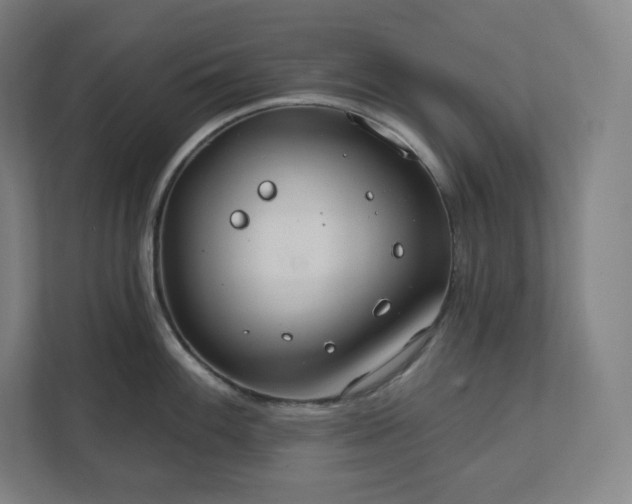 X0000112201100200908211535