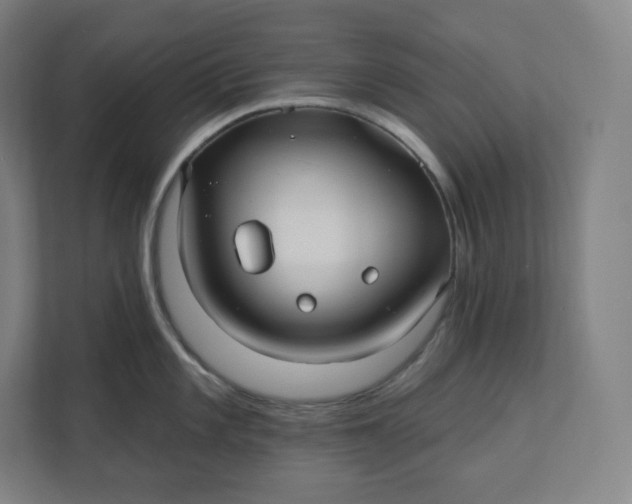 X0000112201101200908211535