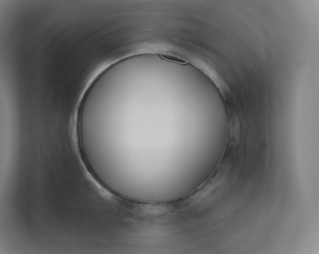 X0000112201103200908211535