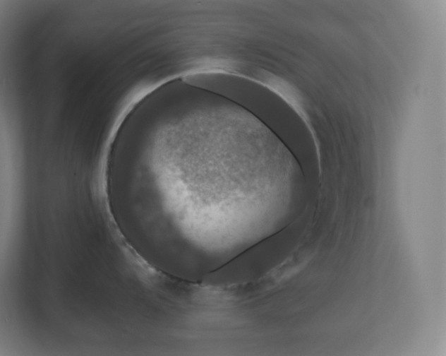 X0000112201104200908211535