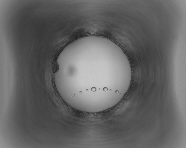 X0000112201105200908211535