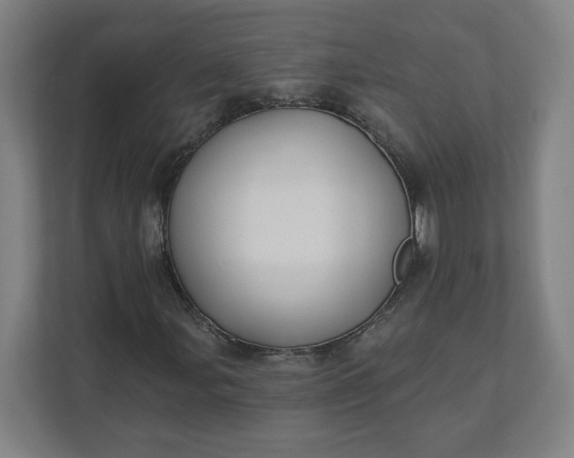 X0000112201107200908211535