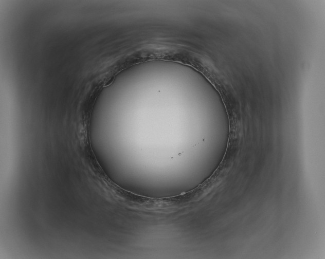 X0000112201109200908211535