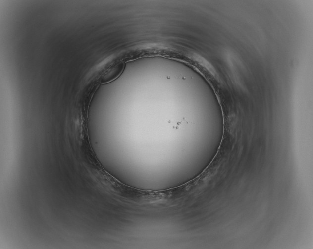 X0000112201111200908211535