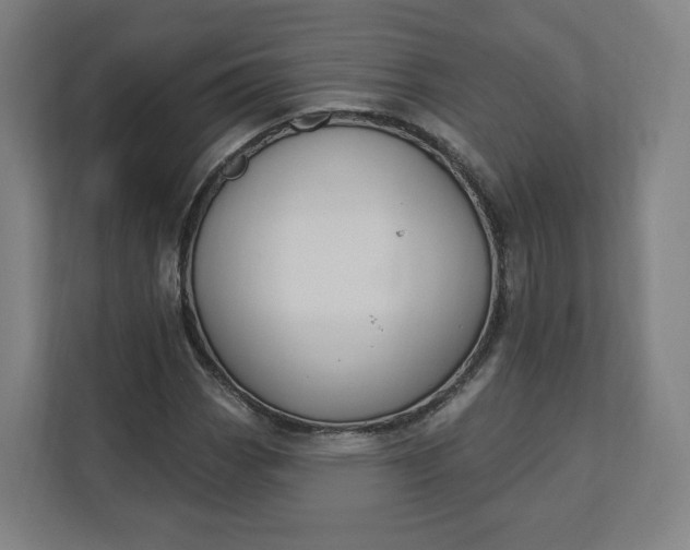 X0000112201113200908211535