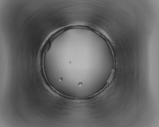 X0000112201116200908211535