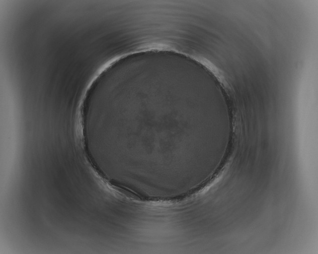 X0000112201118200908211535