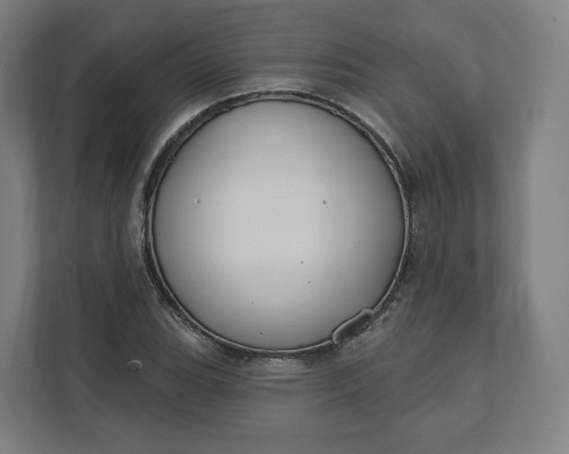 X0000112201119200908211535