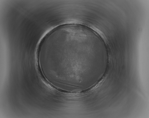 X0000112201120200908211535