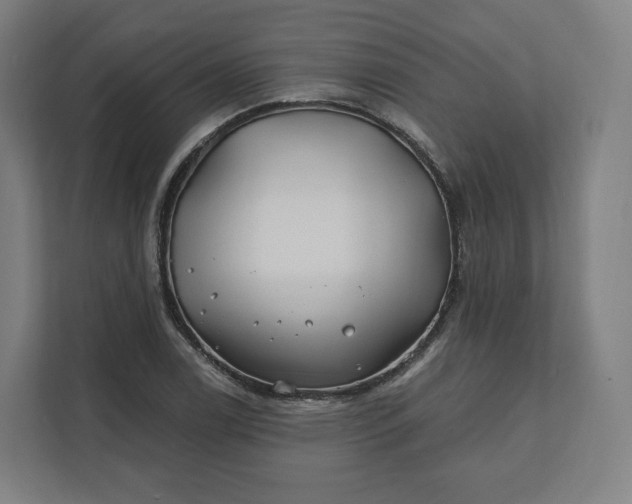 X0000112201122200908211535