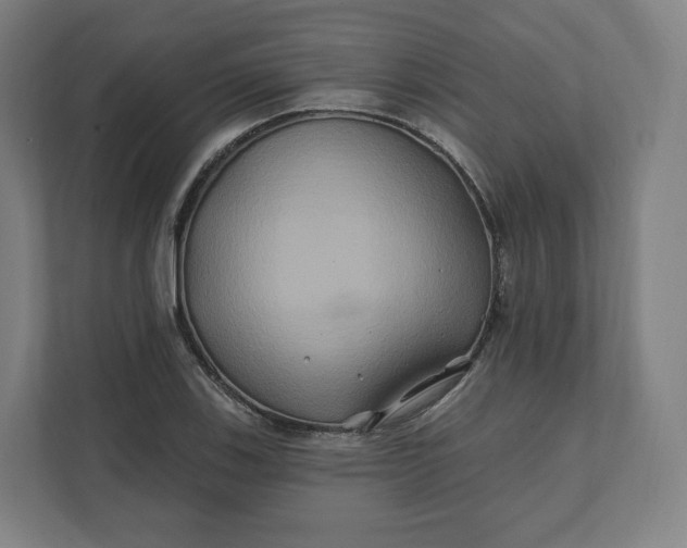 X0000112201123200908211535