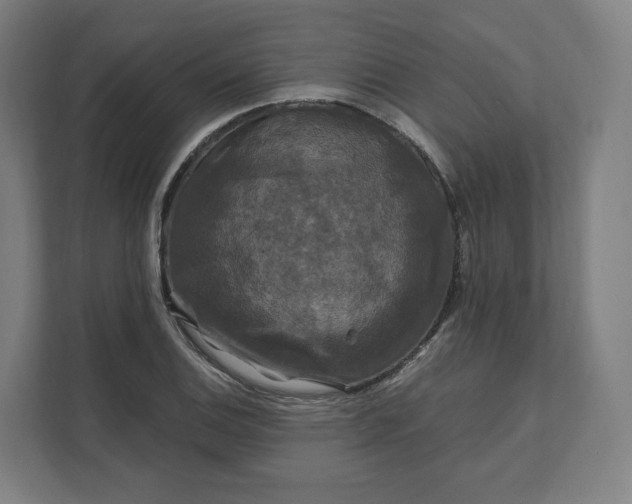 X0000112201124200908211535