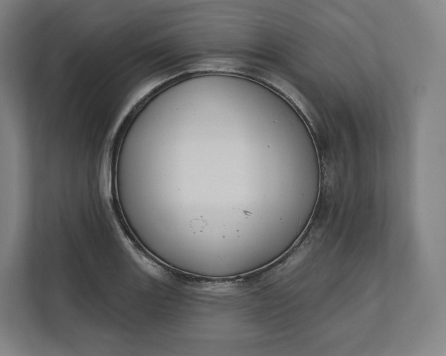 X0000112201131200908211535