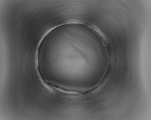 X0000112201132200908211535