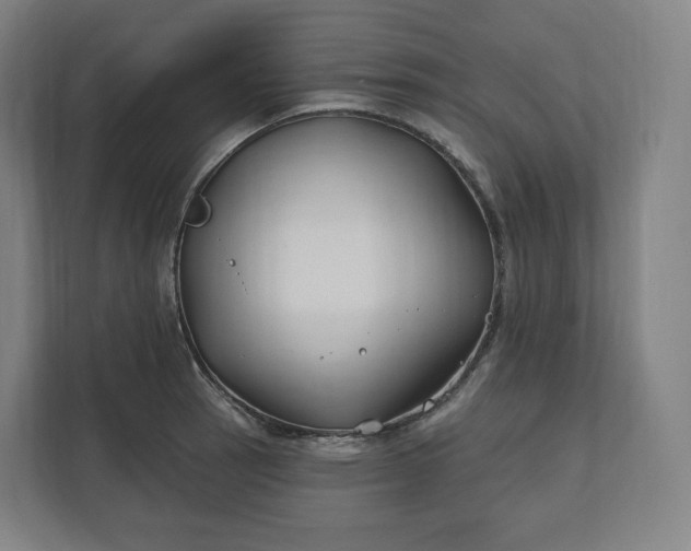 X0000112201137200908211535