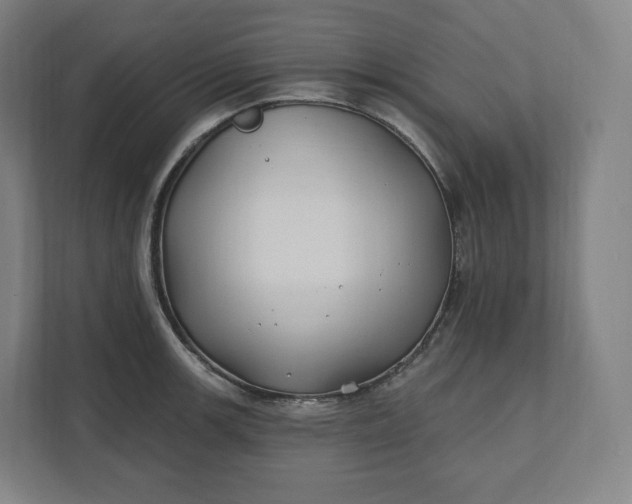 X0000112201139200908211535