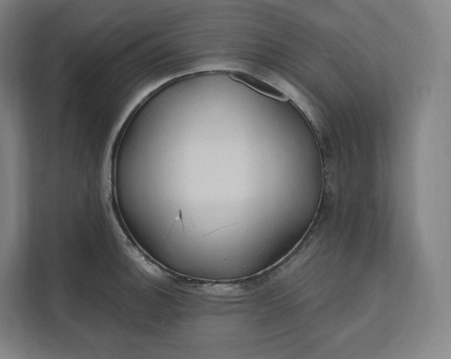 X0000112201140200908211535