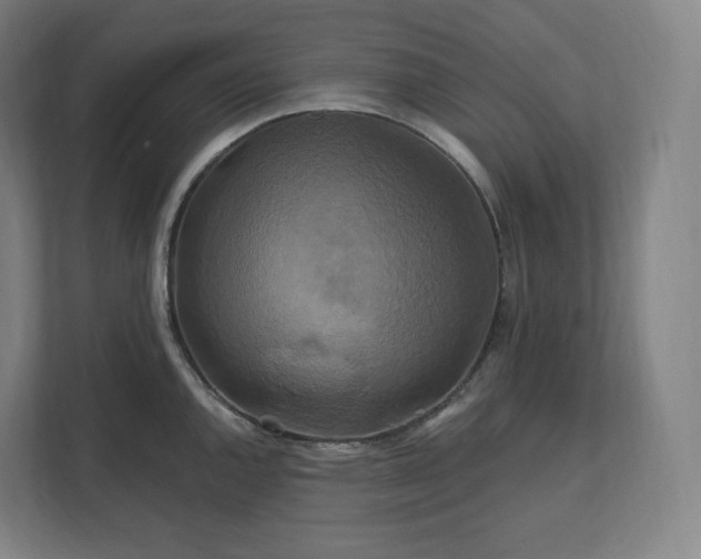 X0000112201144200908211535