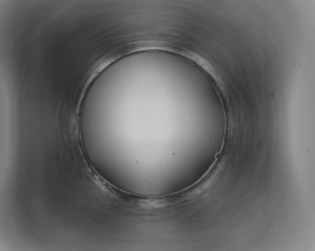 X0000112201145200908211535