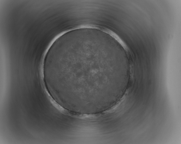 X0000112201148200908211535