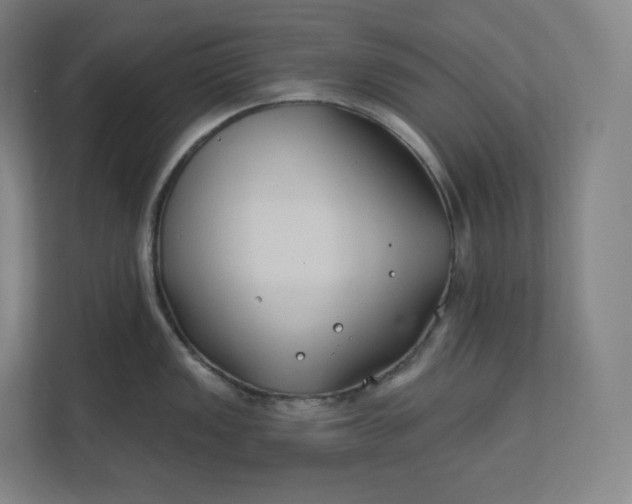 X0000112201149200908211535