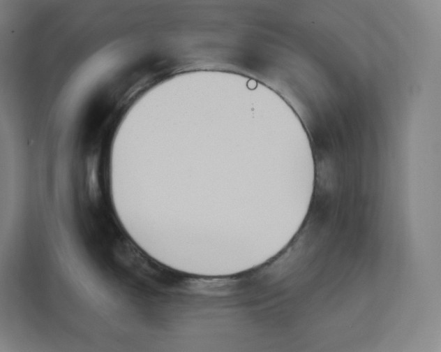 X0000112201150200908211535