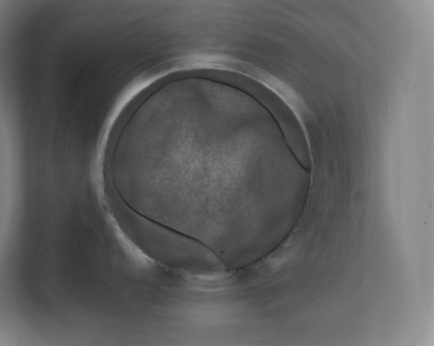 X0000112201152200908211535