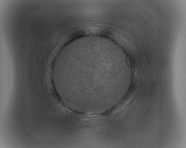 X0000112201153200908211535