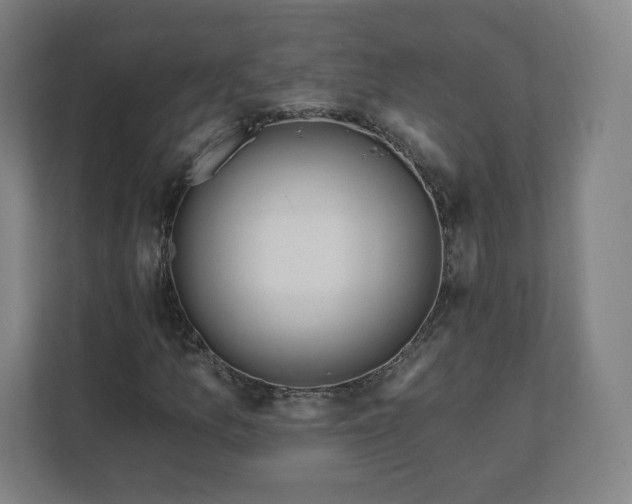 X0000112201157200908211535