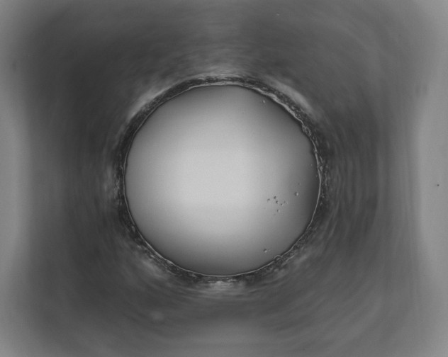 X0000112201160200908211535