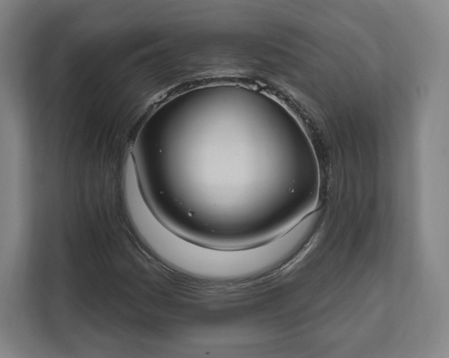 X0000112201161200908211535