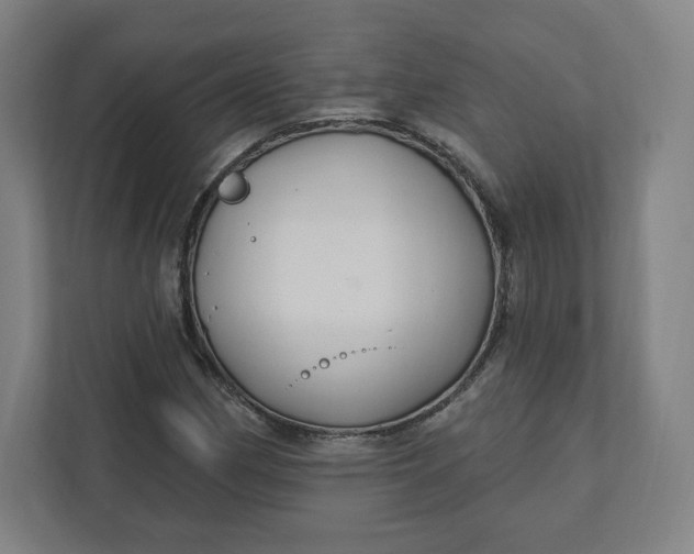 X0000112201162200908211535