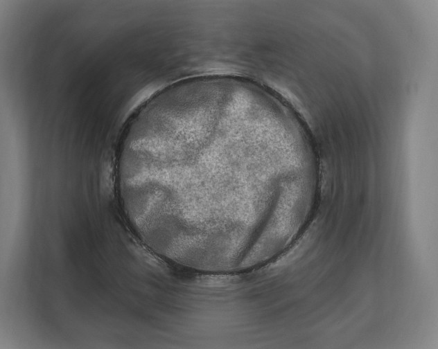 X0000112201163200908211535