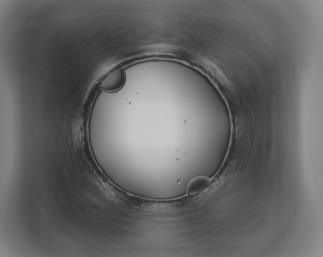 X0000112201164200908211535